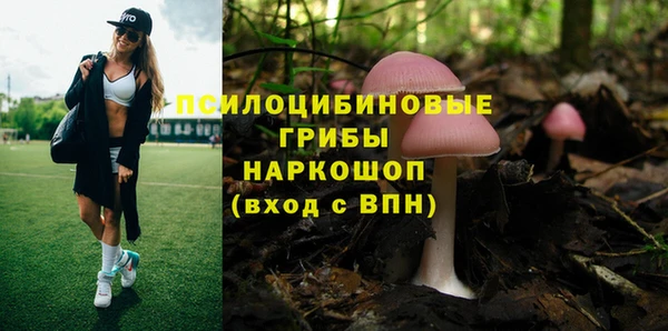 герыч Вязьма