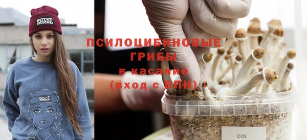 герыч Вязьма