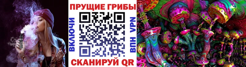 Псилоцибиновые грибы GOLDEN TEACHER  Раменское 
